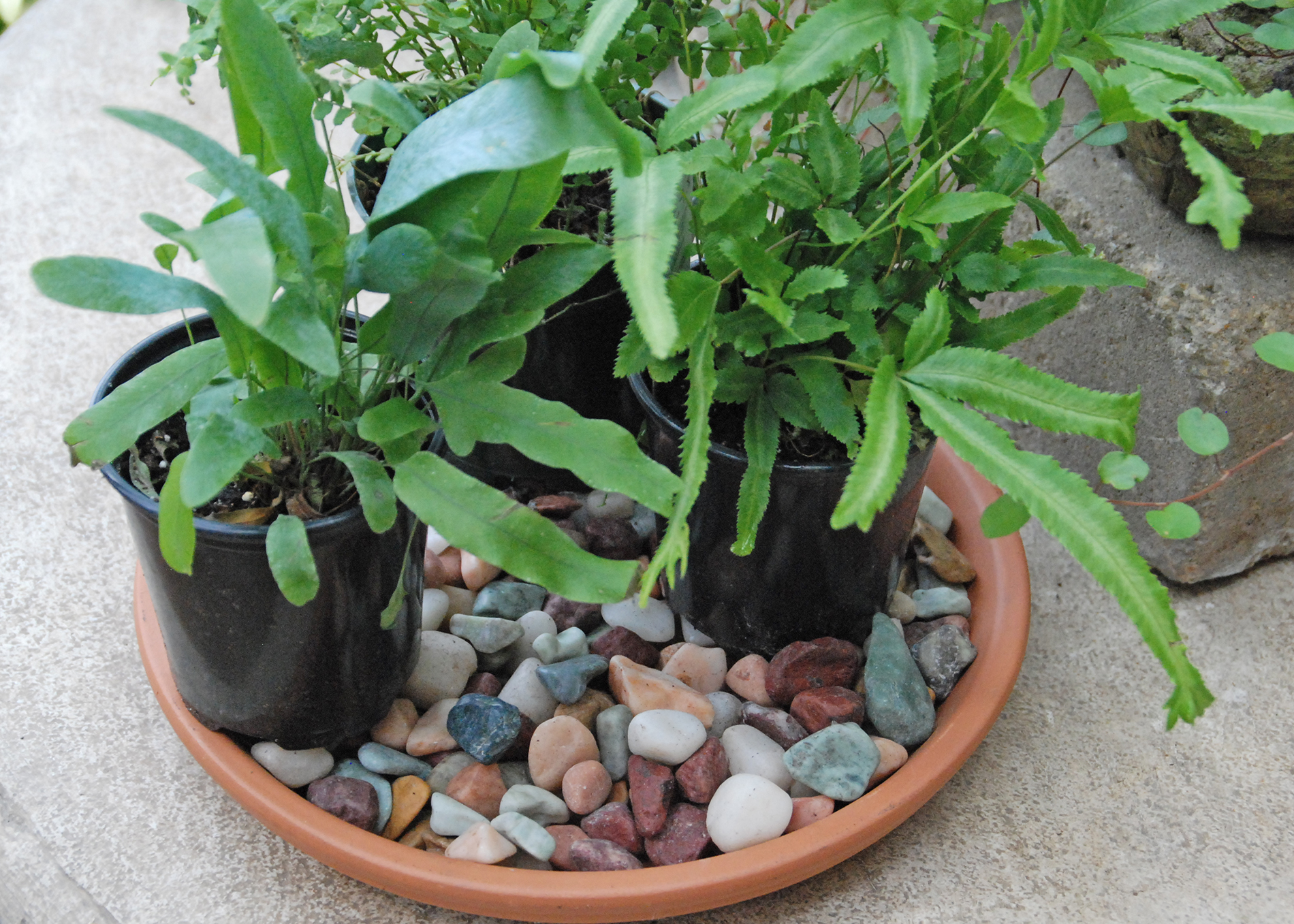 Gravel tray gift idea